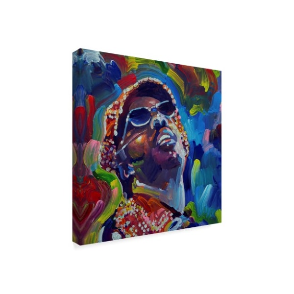 Howie Green 'Stevie Wonder' Canvas Art,18x18